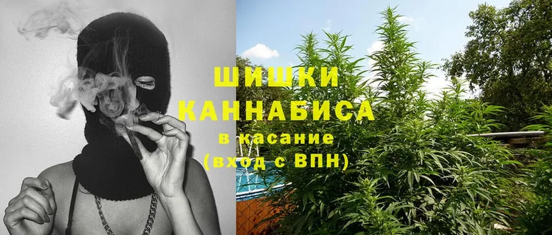 kraken ссылки  Алексеевка  МАРИХУАНА THC 21%  купить наркотики сайты 